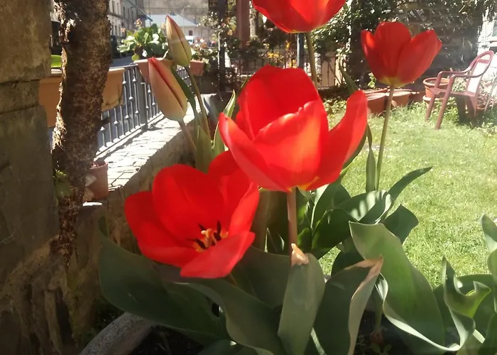 アパート Gabarre